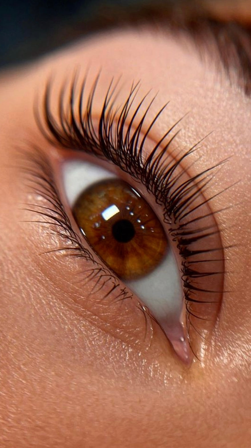 Face-to-face Eyelash Lift Training