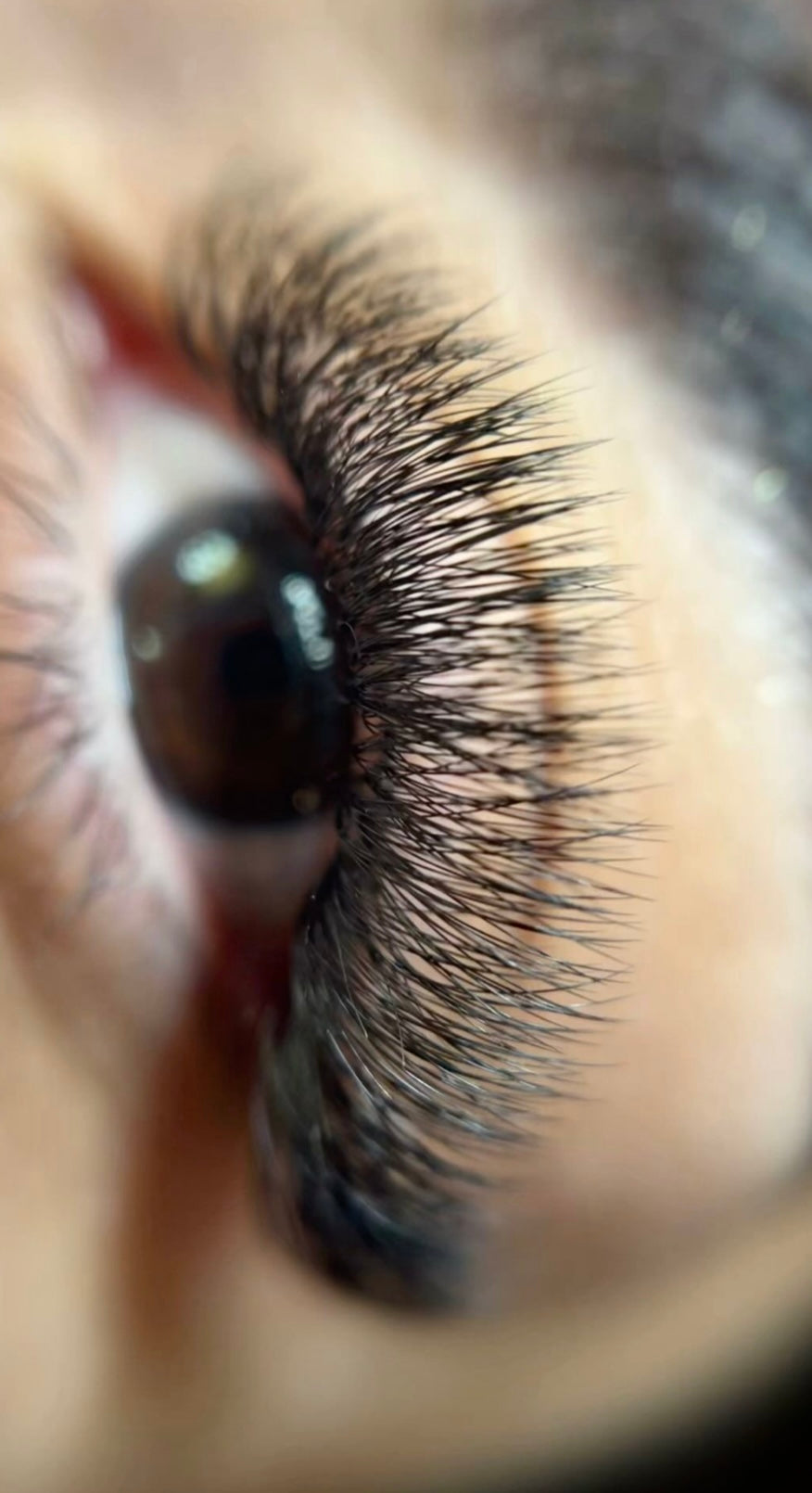 2-Day Combined Training: Eyelash Extension + Volume with Pre-Made Clusters