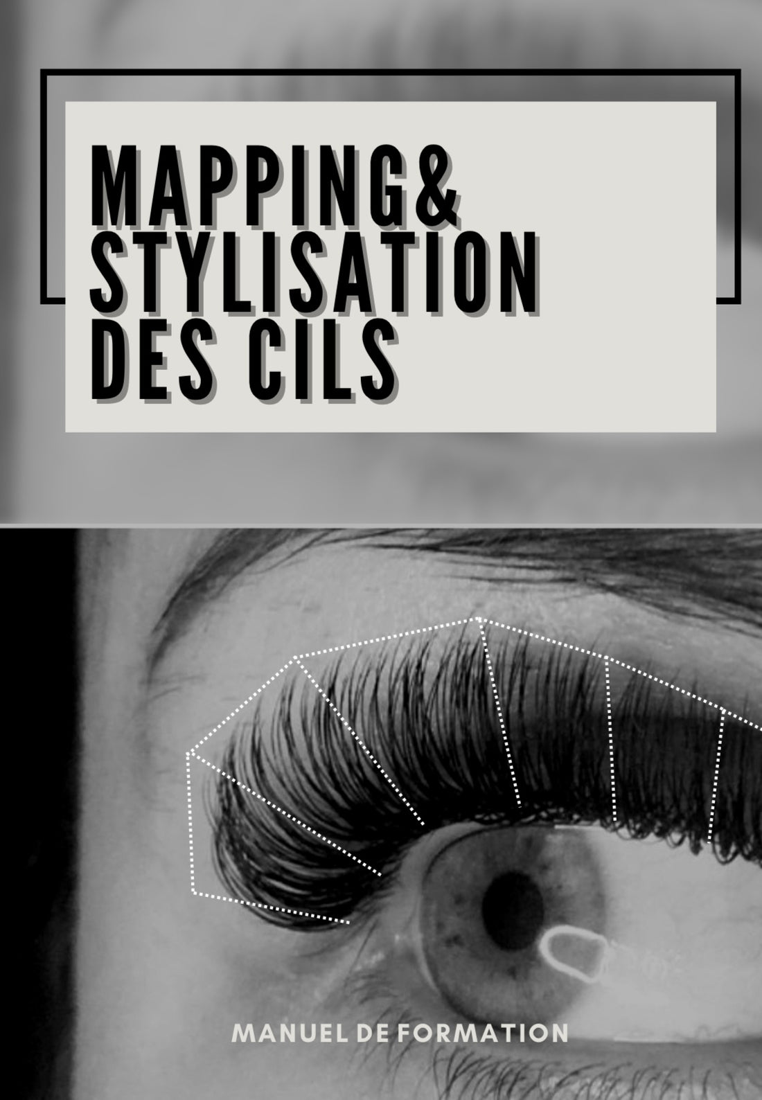 Ebook : Mapping & Stylisation des Cils — Maîtrise Totale du Regard
