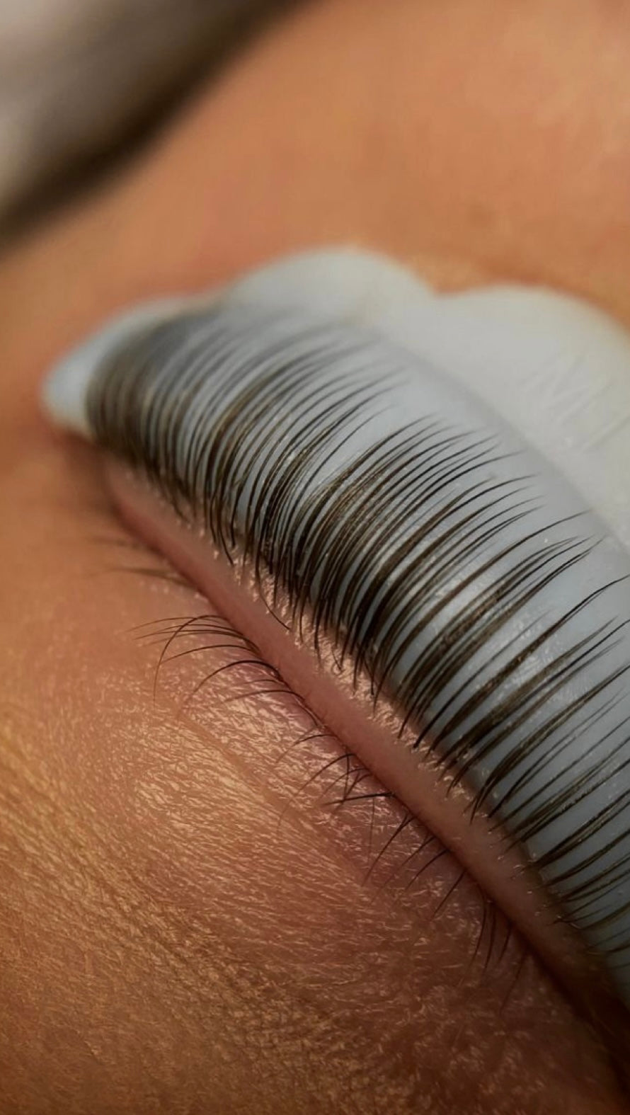 Face-to-face Eyelash Lift Training
